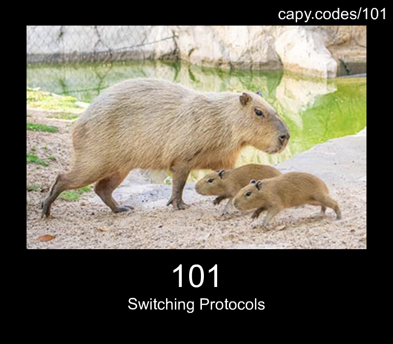 Switching Protocols