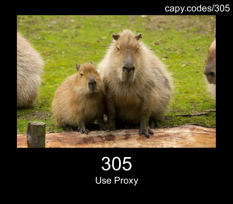 Use Proxy