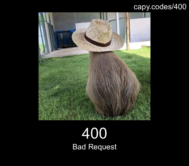 Bad Request