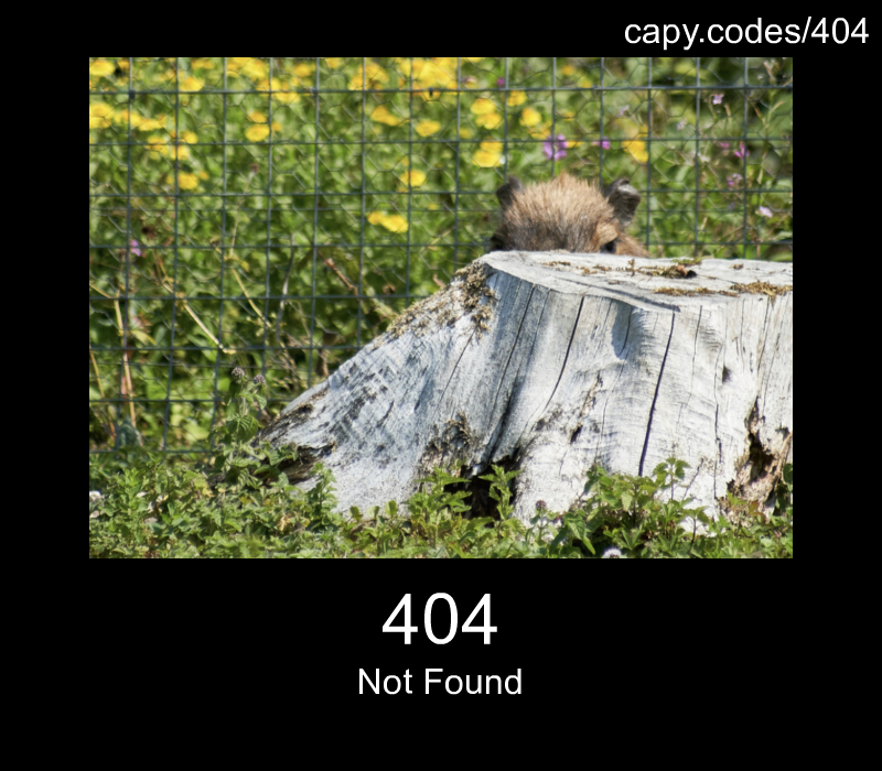 Not Found