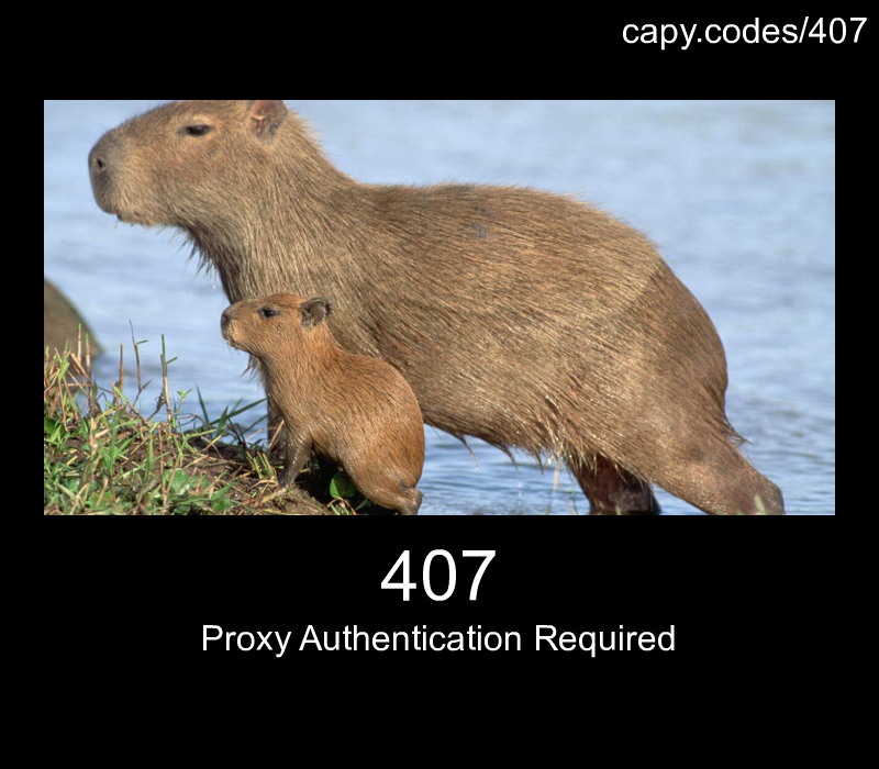 Proxy Authentication Required