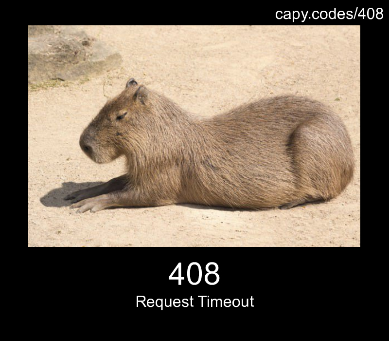 Request Timeout