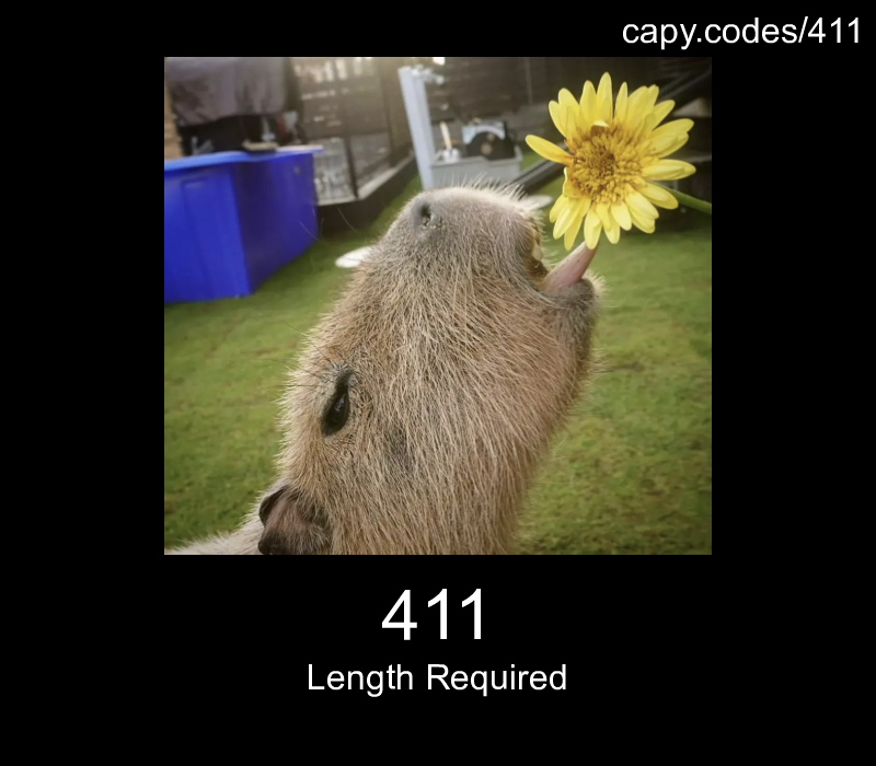 Length Required