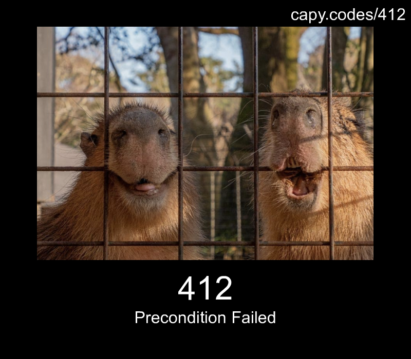 Precondition Failed