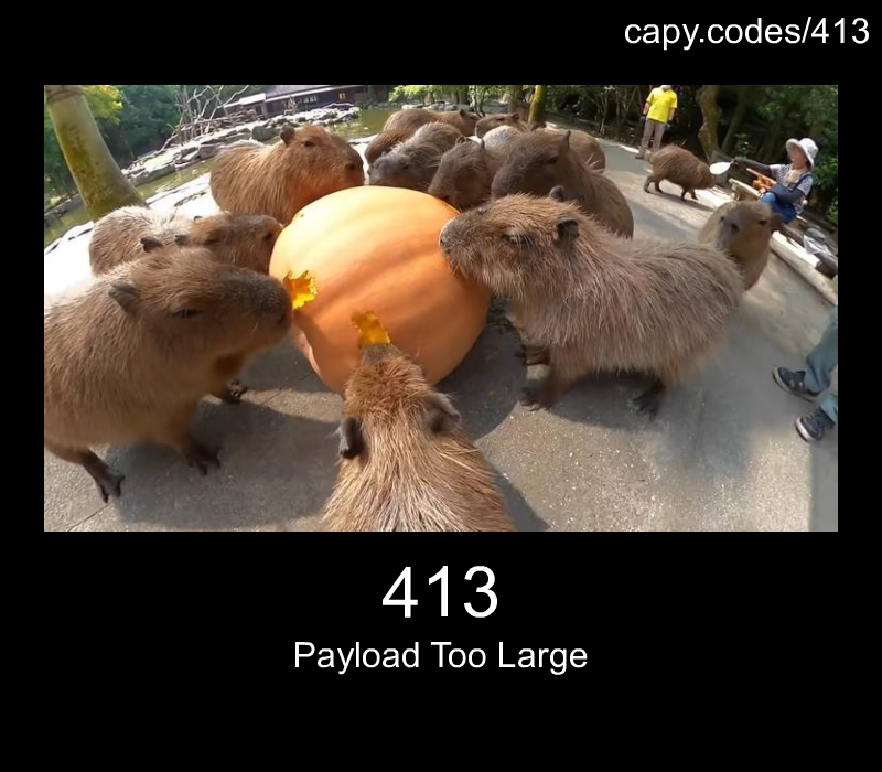 Payload Too Large