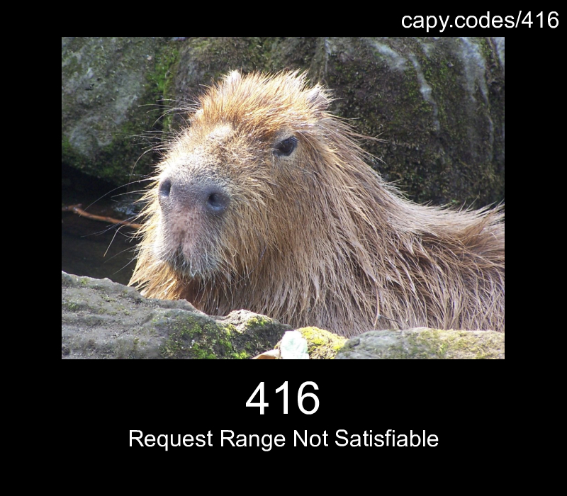 Request Range Not Satisfiable