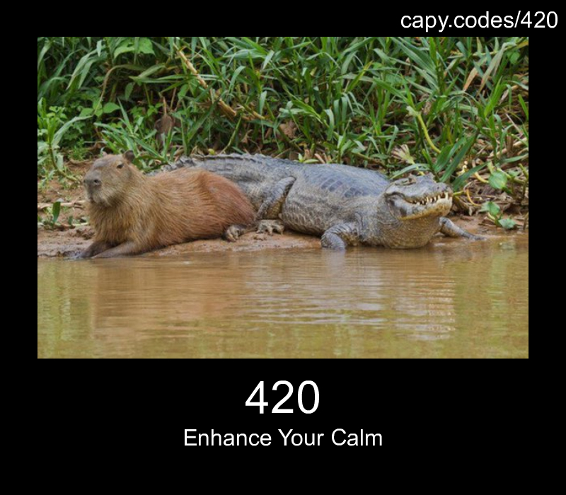 Enhance Your Calm