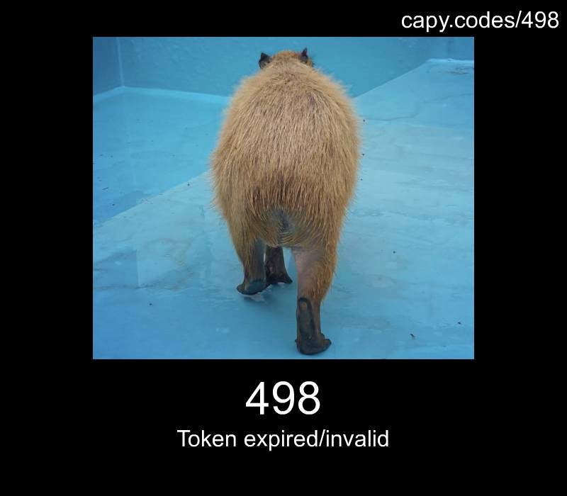 Token expired/invalid