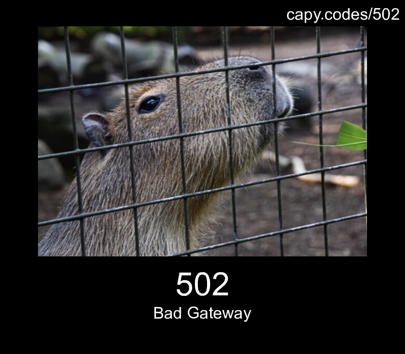 Bad Gateway