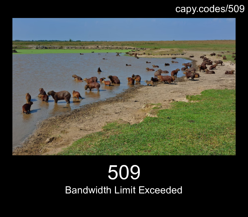 Bandwidth Limit Exceeded