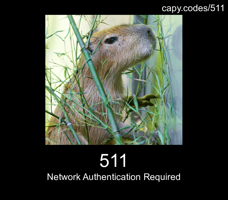 Network Authentication Required