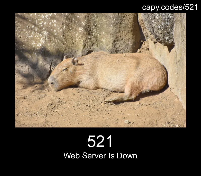 Web Server Is Down