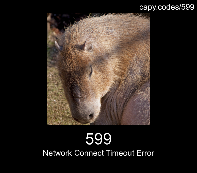 Network Connect Timeout Error