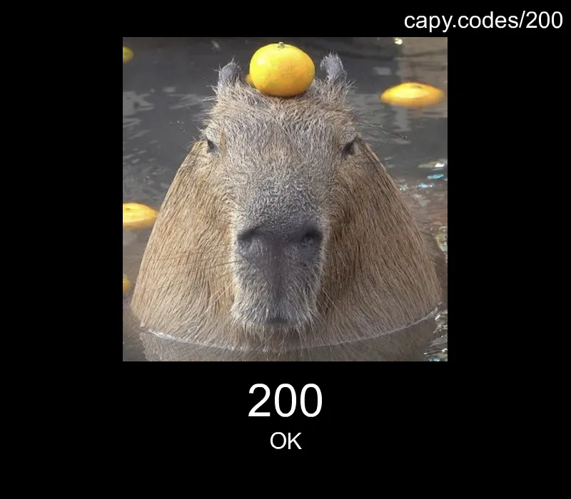 200 - OK