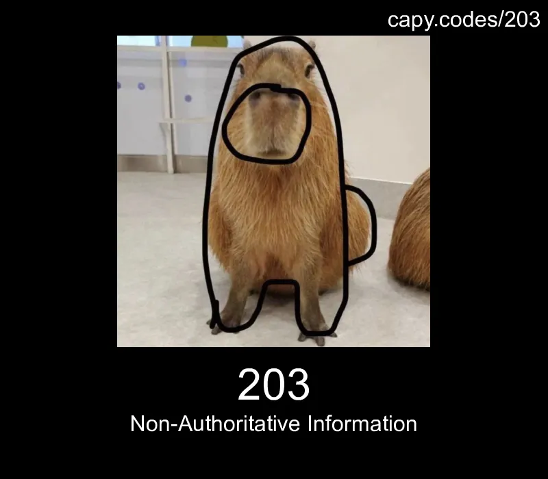 203 - Non-Authoritative Information