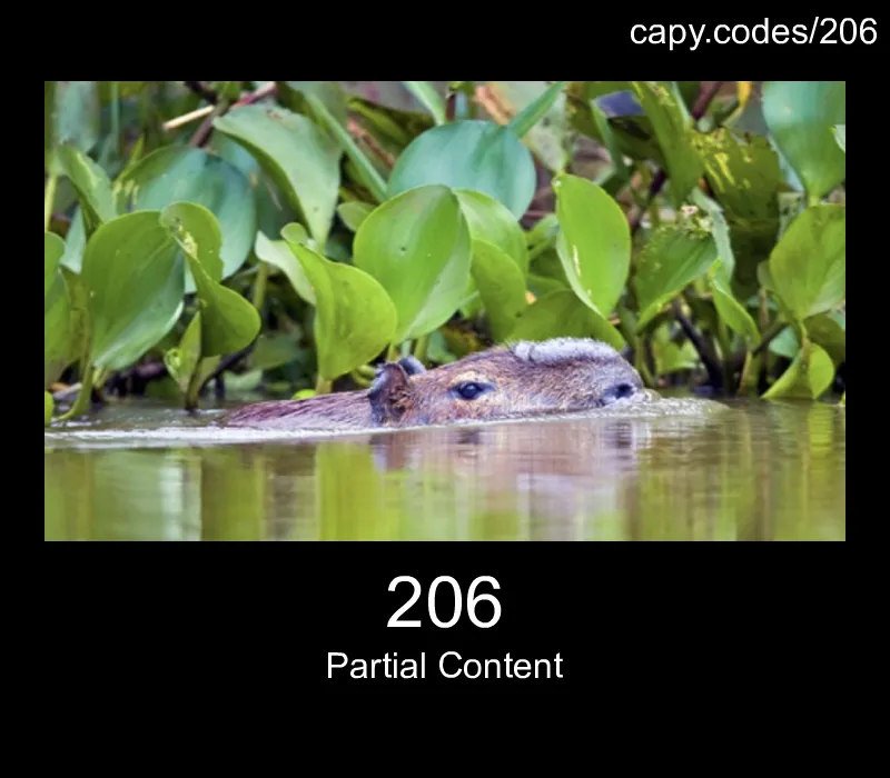 206 - Partial Content