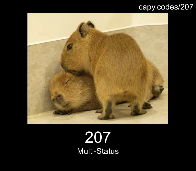 207 - Multi-Status