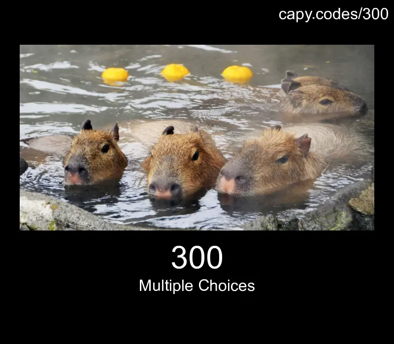 300 - Multiple Choices