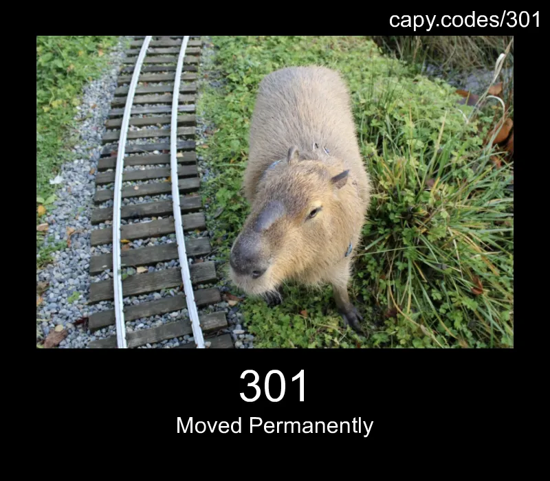 301 - Moved Permanently