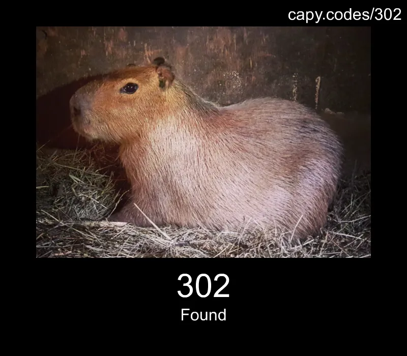 302 - Found