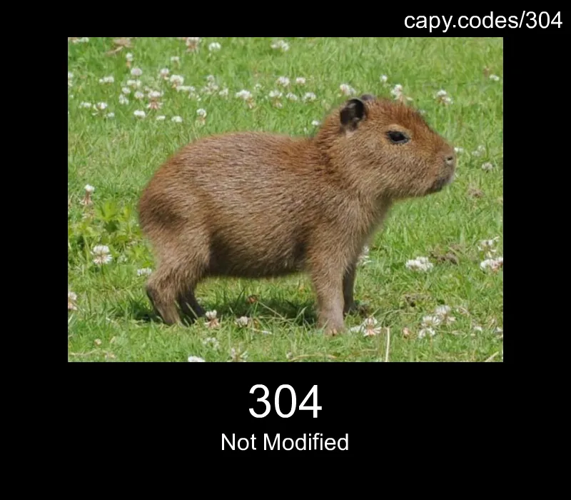 304 - Not Modified