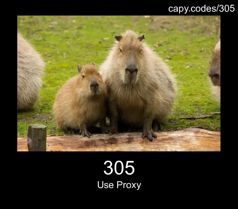 305 - Use Proxy