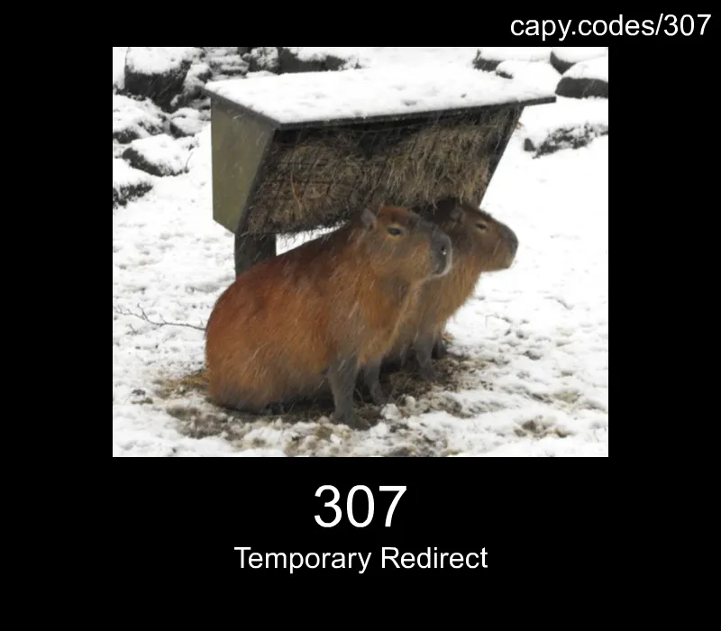 307 - Temporary Redirect