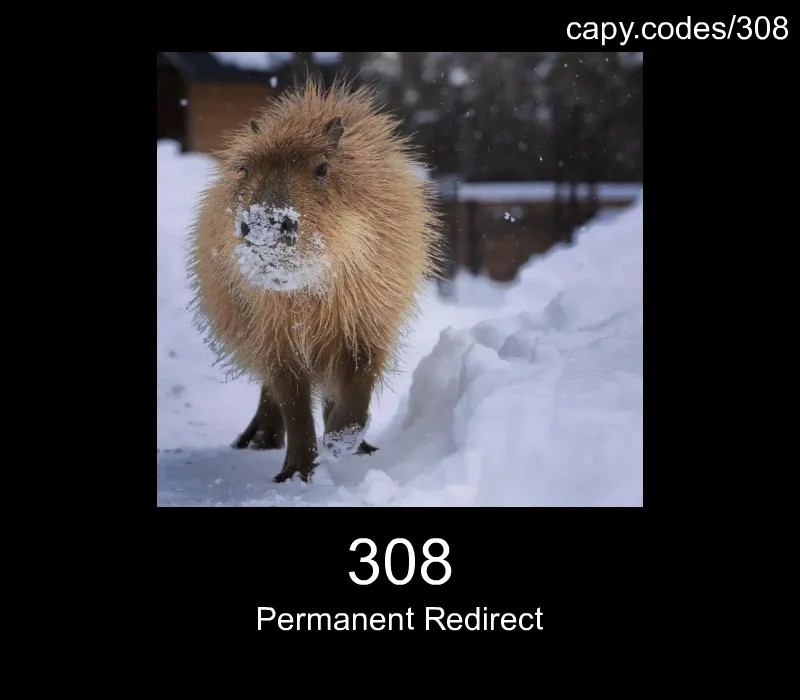 308 - Permanent Redirect