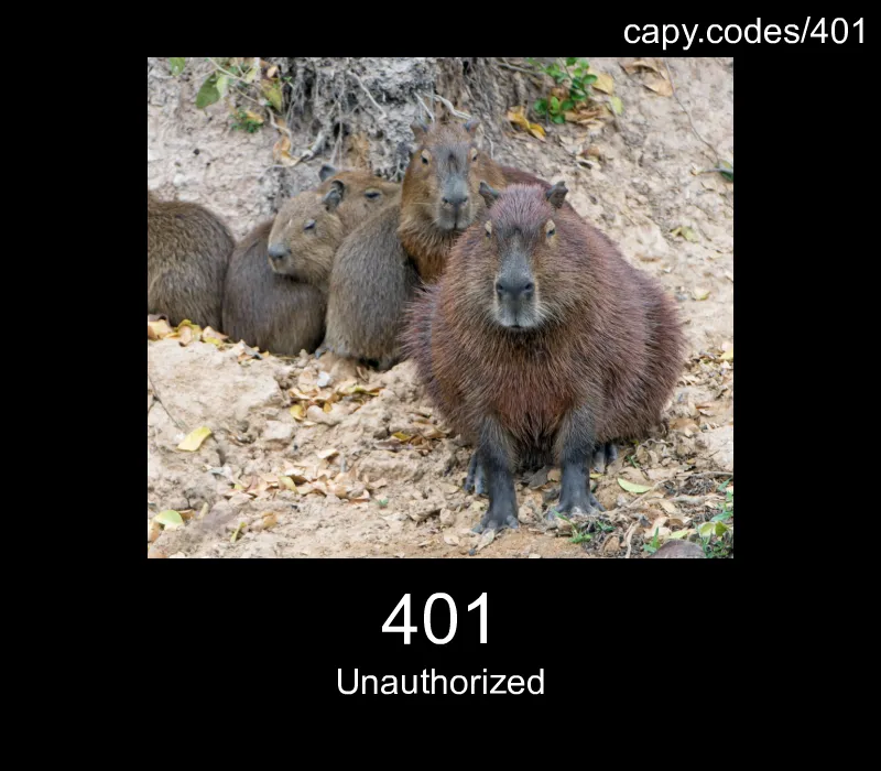 401 - Unauthorized