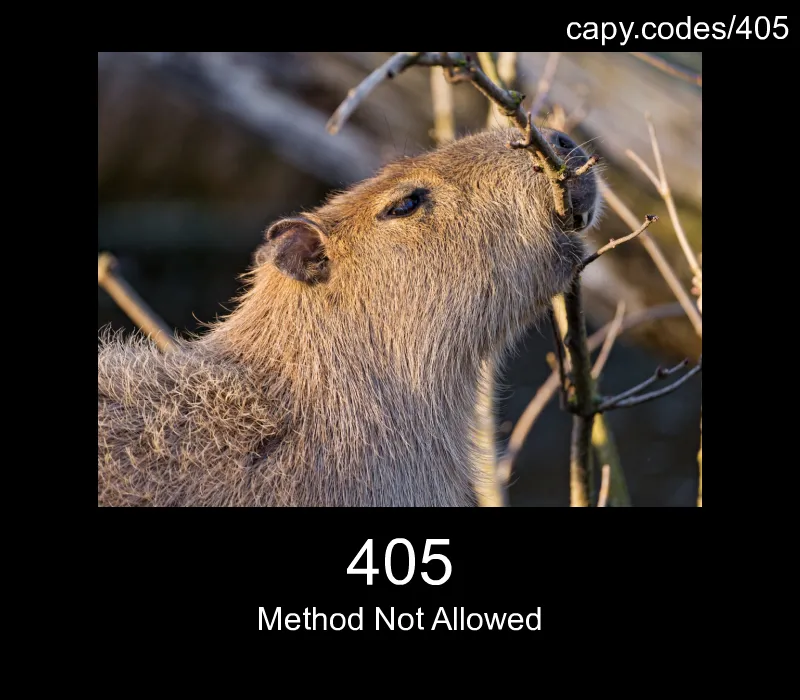 405 - Method Not Allowed