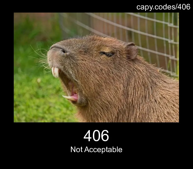 406 - Not Acceptable