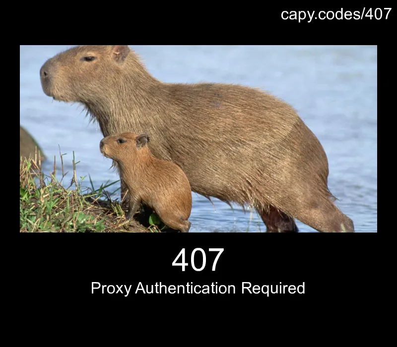 407 - Proxy Authentication Required