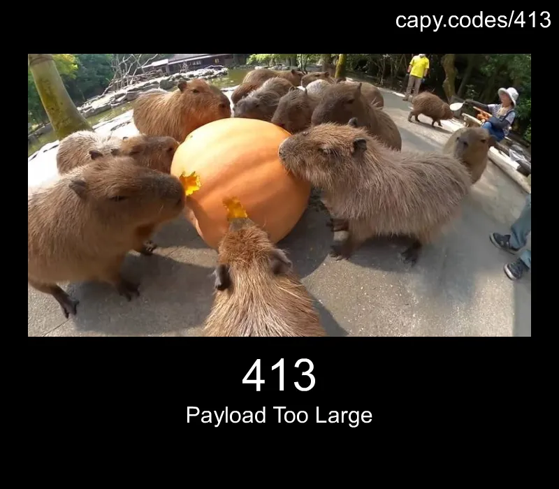 413 - Payload Too Large