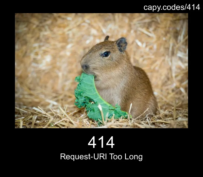 414 - Request-URI Too Long