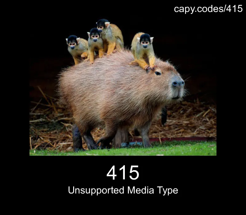 415 - Unsupported Media Type