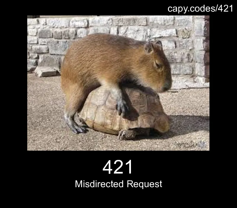 421 - Misdirected Request