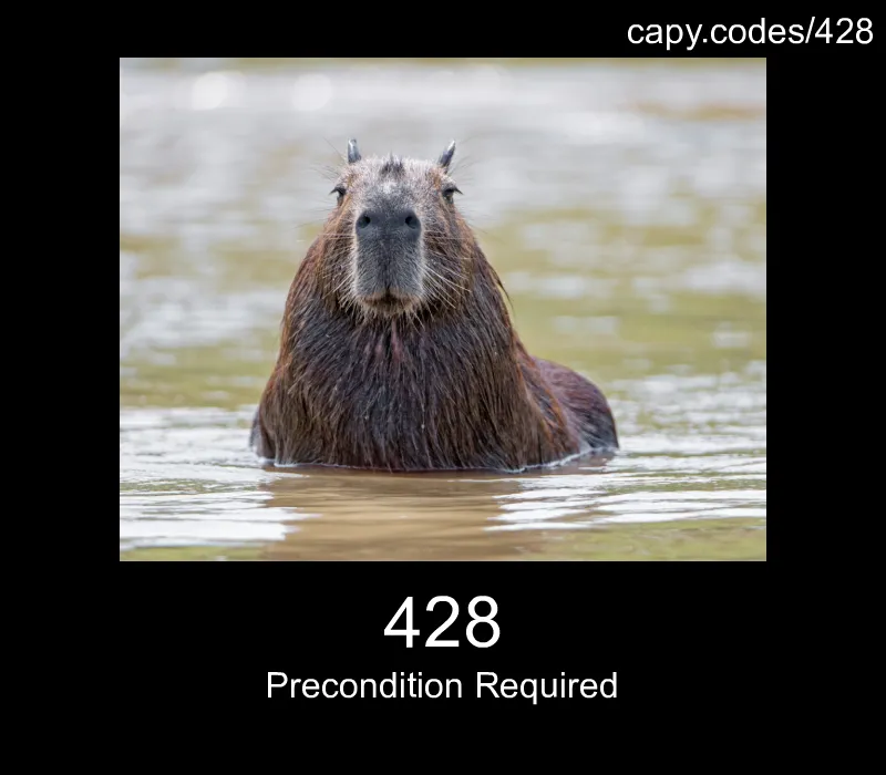 428 - Precondition Required