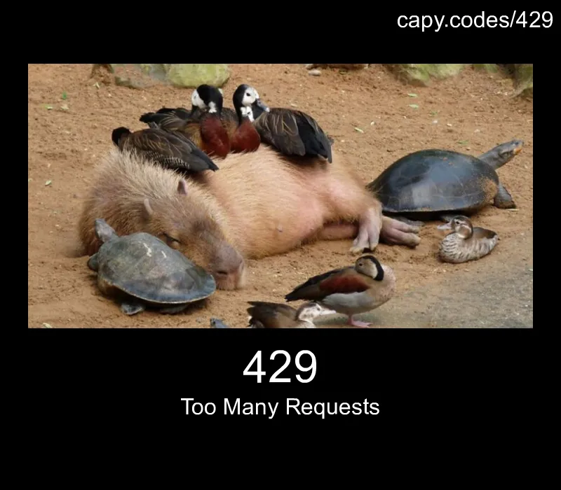 429 - Too Many Requests