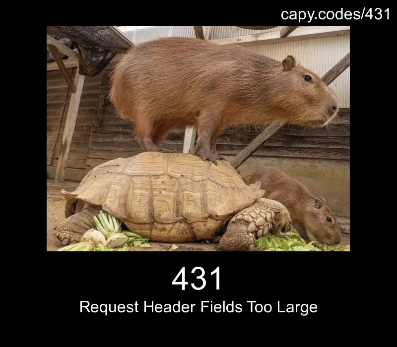 431 - Request Header Fields Too Large