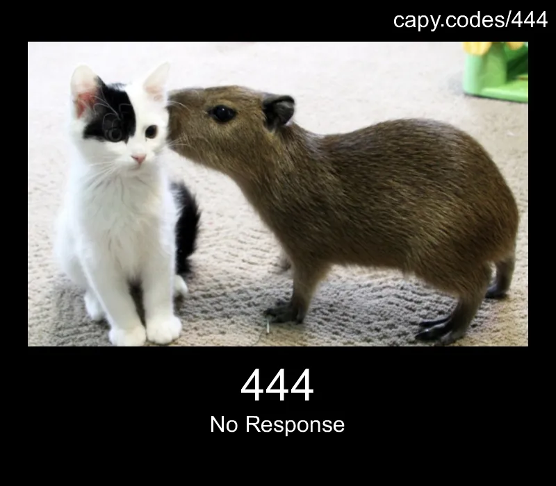 444 - No Response