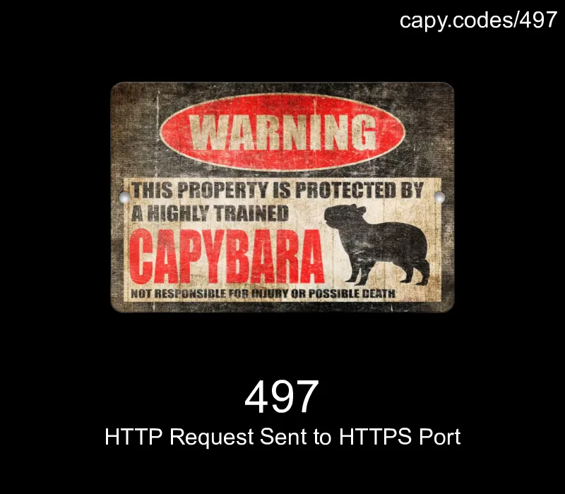 497 - HTTP Request Sent to HTTPS Port