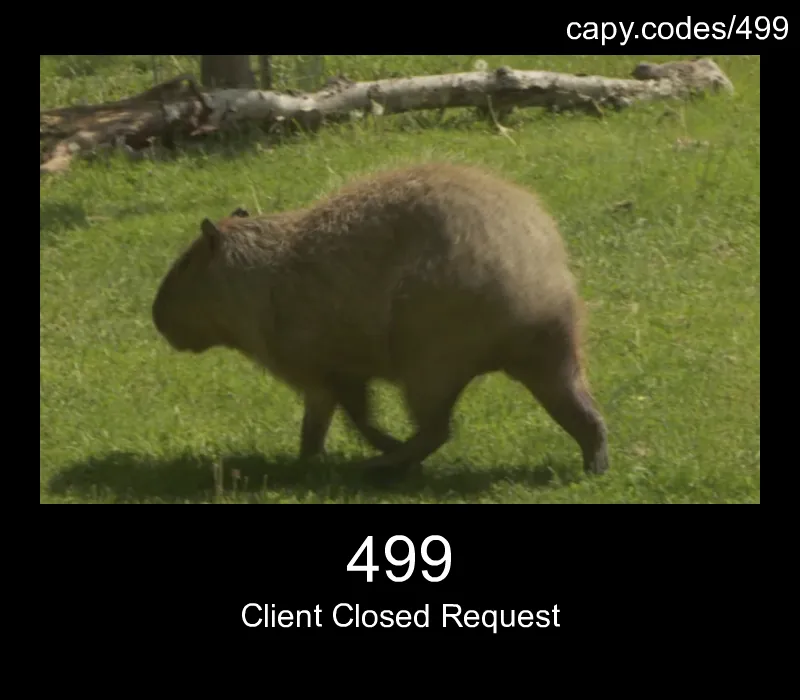 499 - Client Closed Request