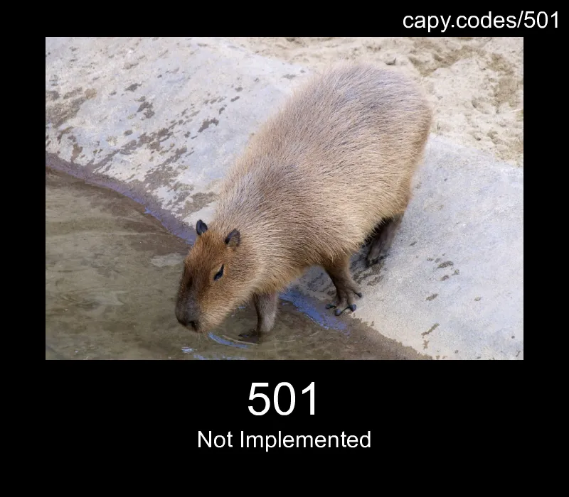 501 - Not Implemented