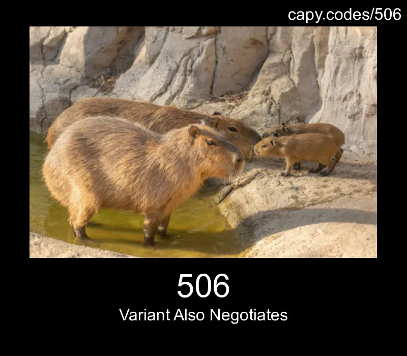 506 - Variant Also Negotiates