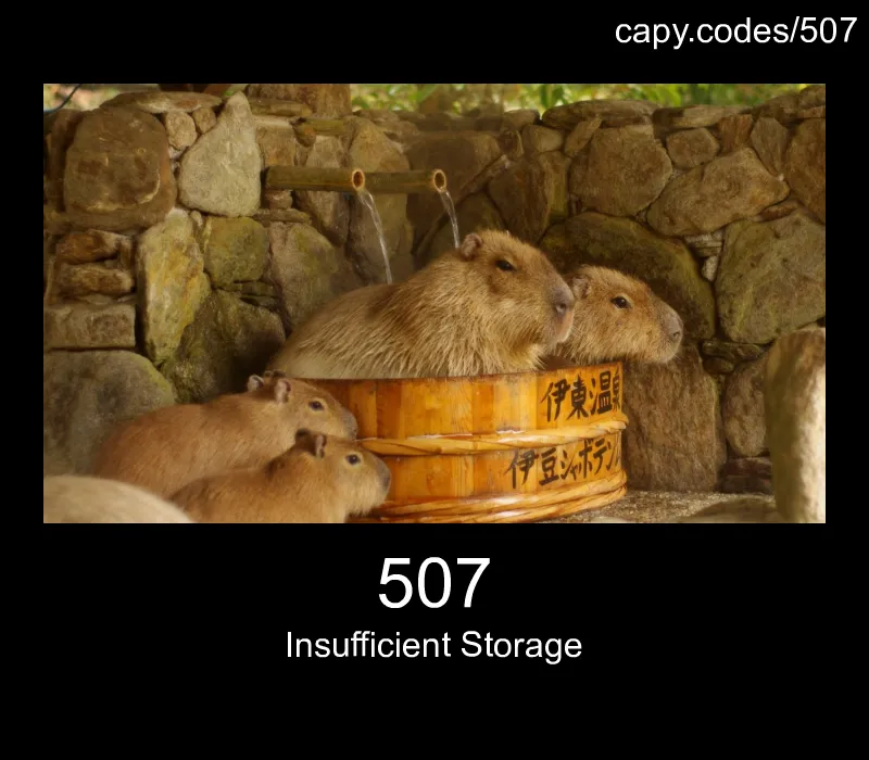 507 - Insufficient Storage