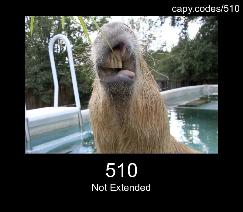 510 - Not Extended