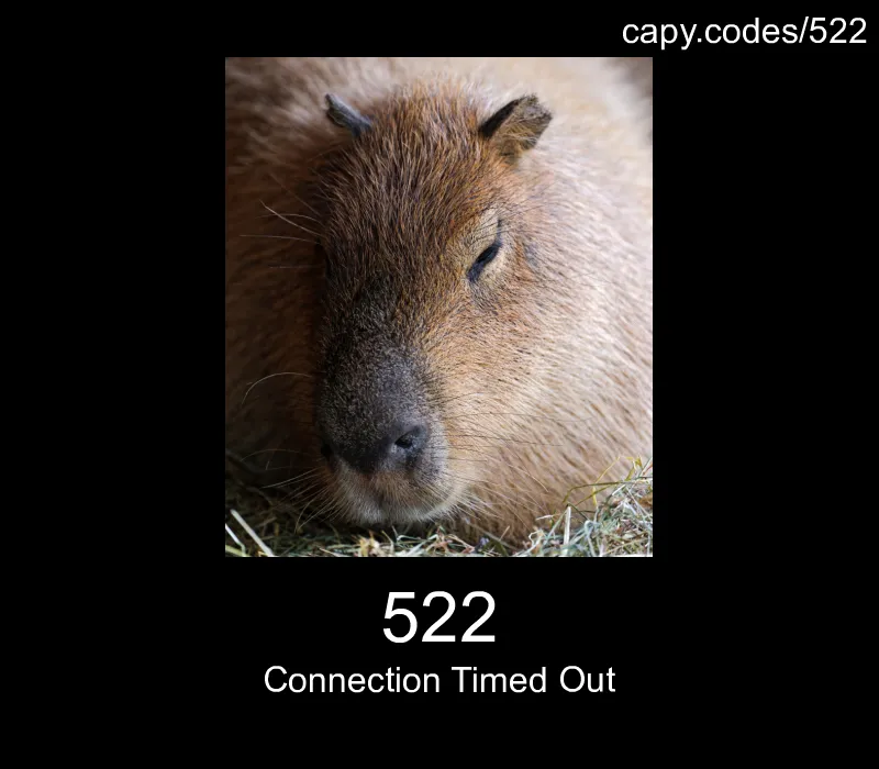 522 - Connection Timed Out