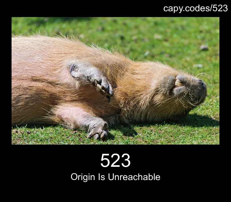 523 - Origin Is Unreachable