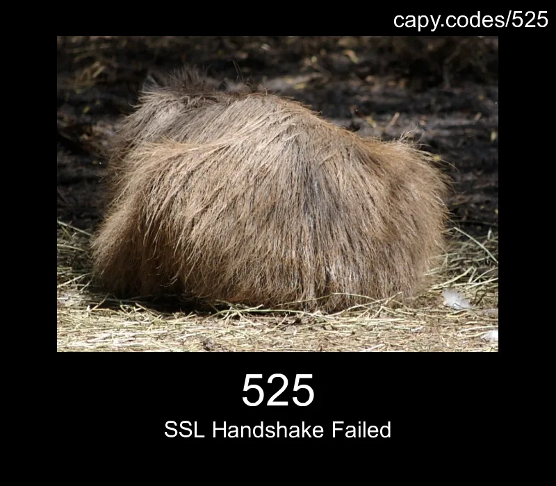 525 - SSL Handshake Failed