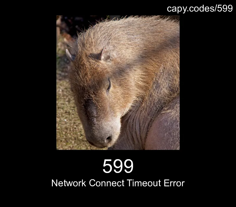 599 - Network Connect Timeout Error